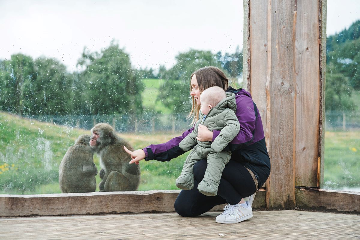 Mother and child with Japanese macaque IMAGE: Rachel Hein 2024